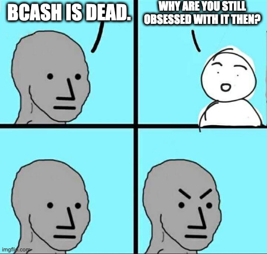 Obsessed with BCH meme