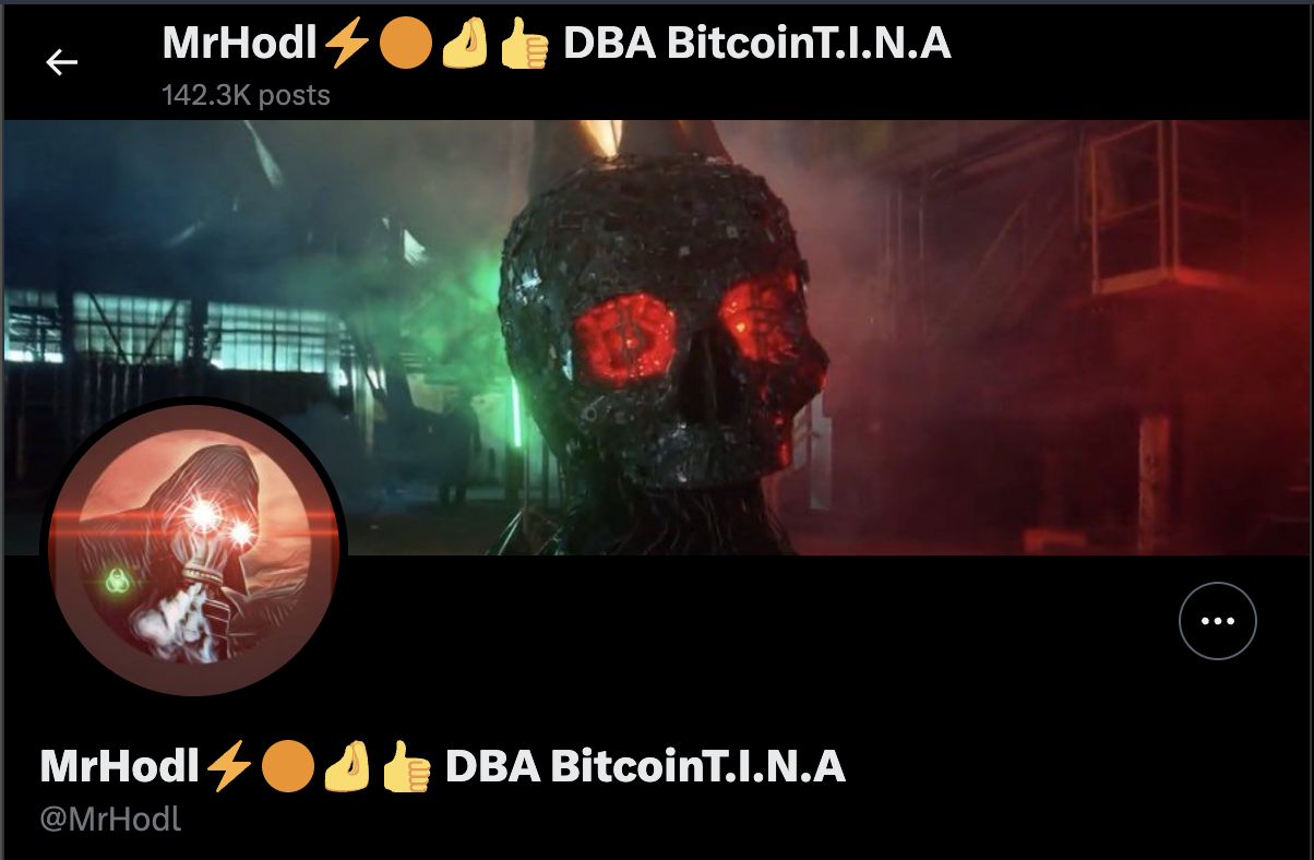 Mr Hodl, a toxic maximalist